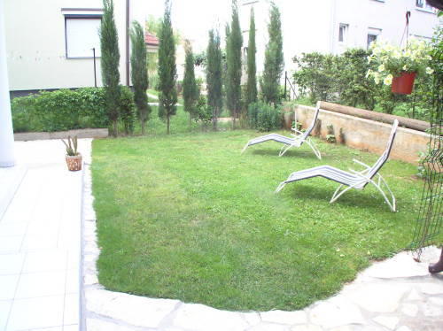 Apartment Simona *